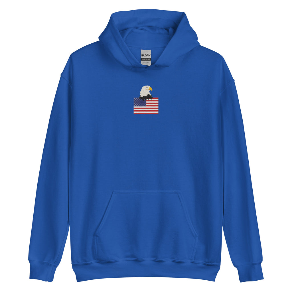 USA Bald Eagle & Flag Embroidered Hoodie