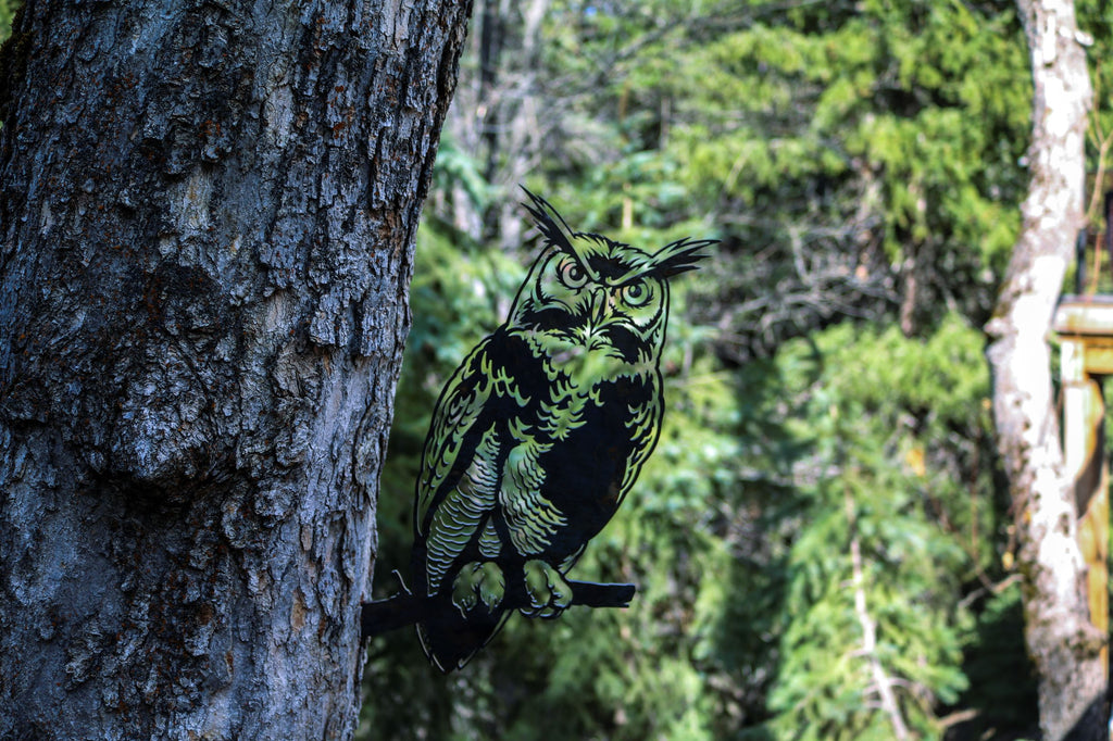 Great Horned Owl