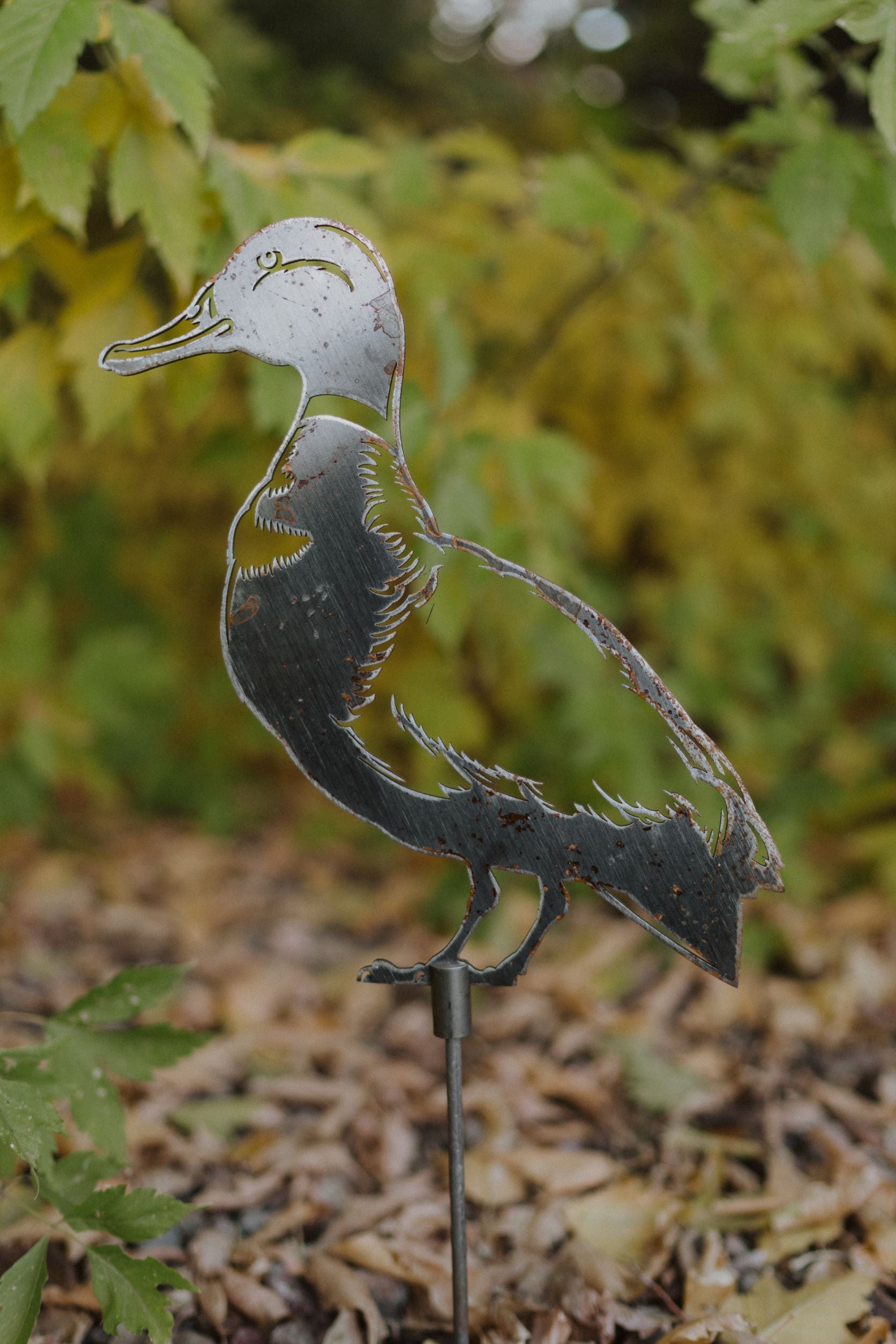 Mallard Duck (Standing) – Still Animals